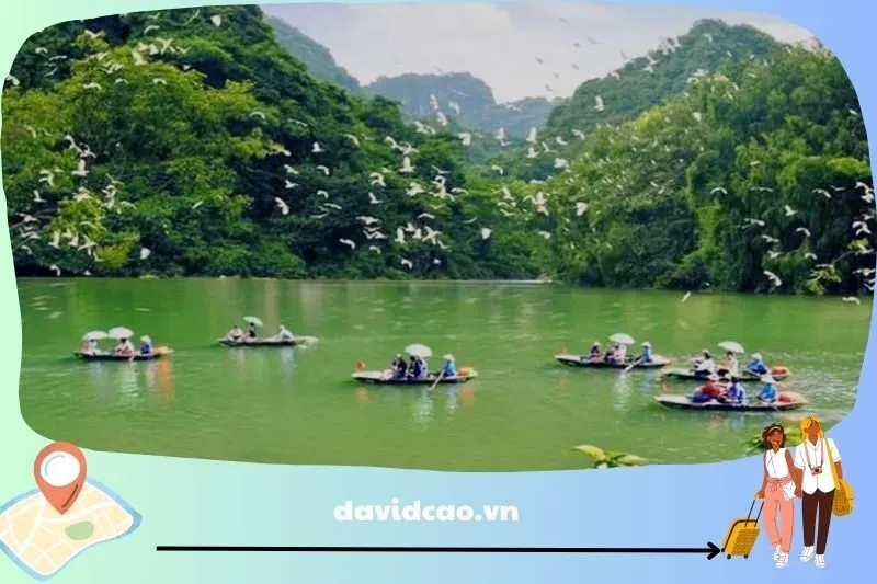 Hồ Đồng Thái