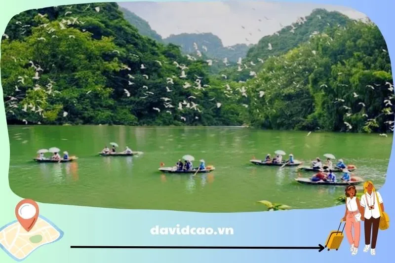 Hồ Đồng Thái