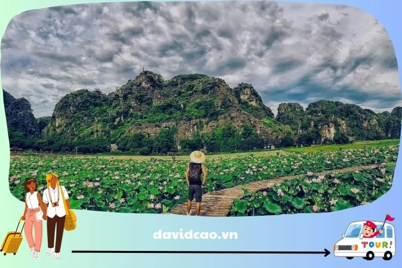 Kinh nghiệm tiết kiệm chi phí khi đi Ninh Bình