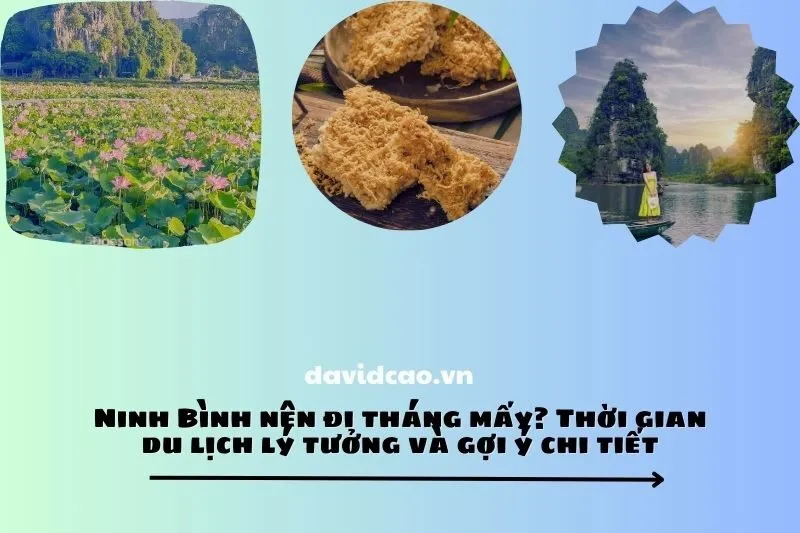 Ninh Bình nên đi tháng mấy? Thời gian du lịch lý tưởng và gợi ý chi tiết