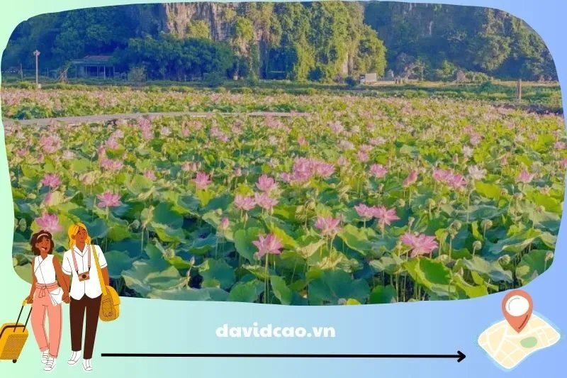 Thời tiết Ninh Bình theo mùa