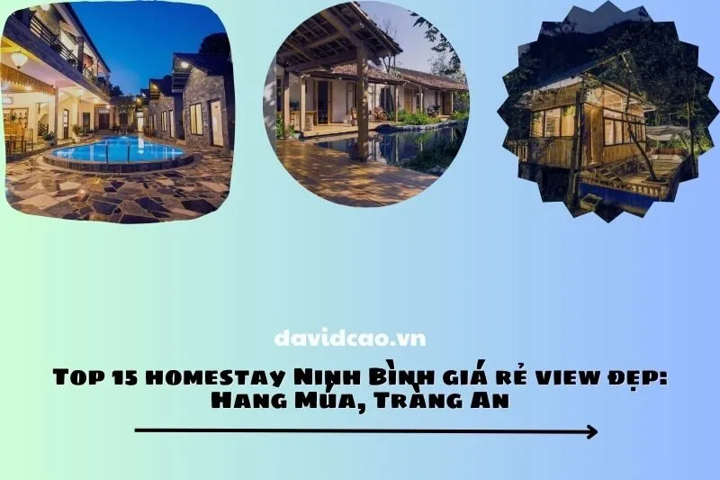 Top 15 homestay Ninh Bình giá rẻ view đẹp: Hang Múa, Tràng An