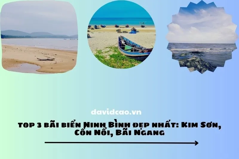 Top 3 bãi biển Ninh Bình đẹp nhất: Kim Sơn, Cồn Nổi, Bãi Ngang
