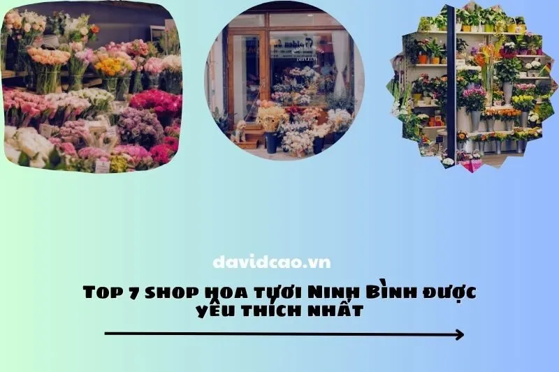 Top 7 shop hoa tươi Ninh Bình được yêu thích nhất