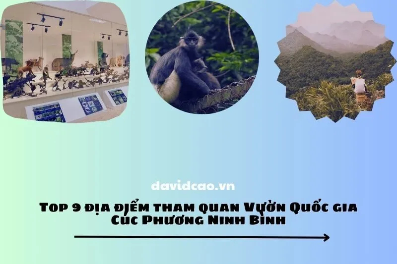Top 9 địa điểm tham quan Vườn Quốc gia Cúc Phương Ninh Bình