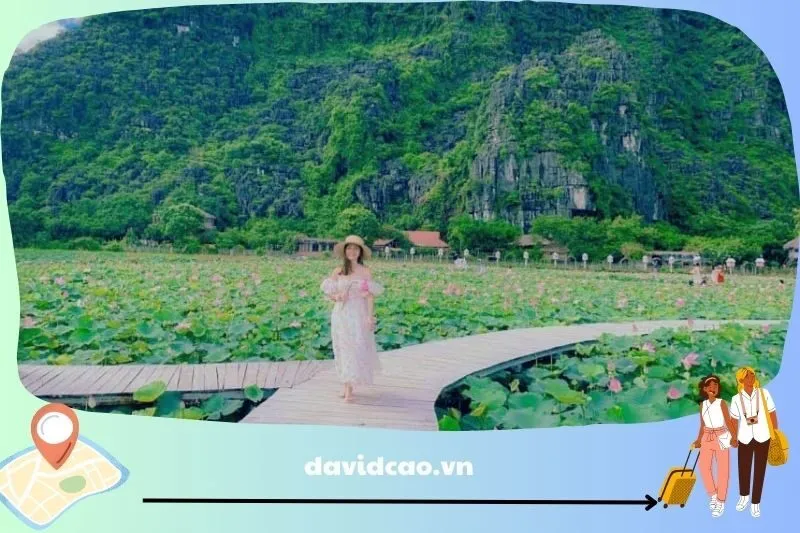 Tour Ninh Bình 1 ngày