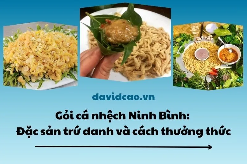 Gỏi cá nhệch Ninh Bình: Đặc sản trứ danh và cách thưởng thức 2025