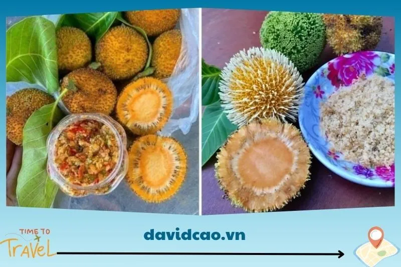 Hương vị và công dụng của quả gáo