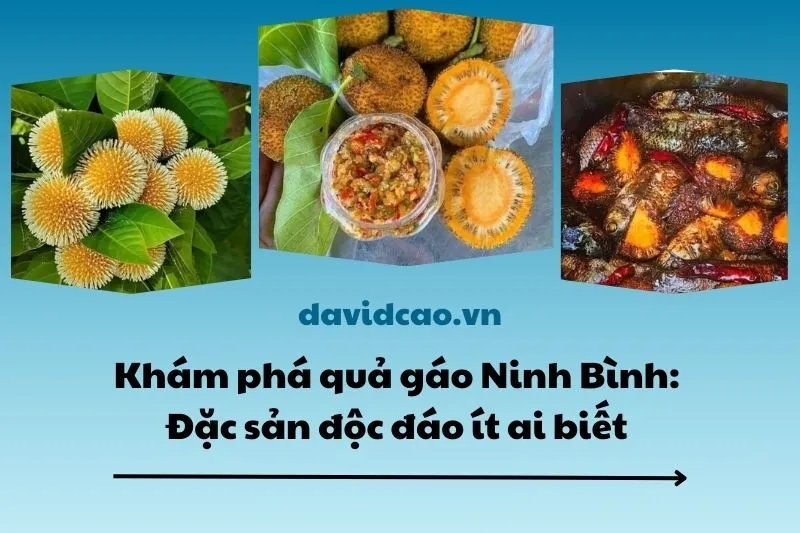 Khám phá quả gáo Ninh Bình: Đặc sản độc đáo ít ai biết 2025