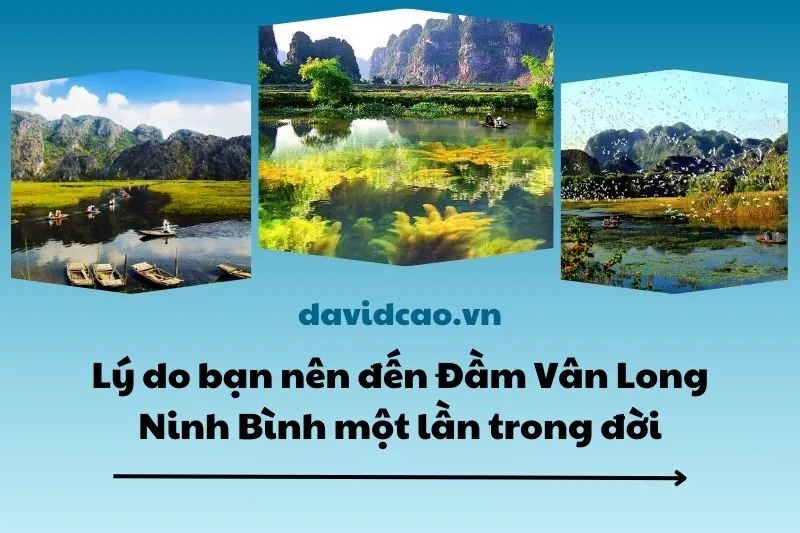 Lý do bạn nên đến Đầm Vân Long Ninh Bình một lần trong đời 2025