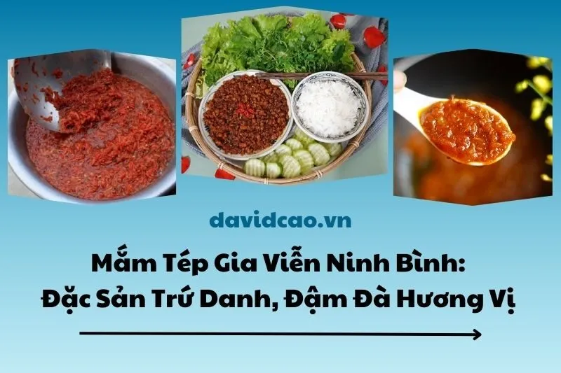 Mắm Tép Gia Viễn Ninh Bình: Đặc Sản Trứ Danh, Đậm Đà Hương Vị 2025
