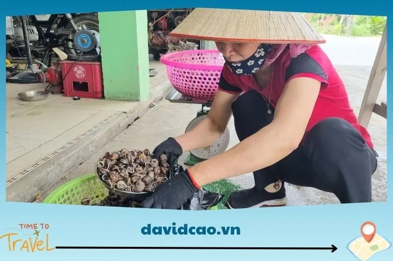 Mua ốc Núi Ninh Bình ở đâu để đảm bảo tươi ngon?