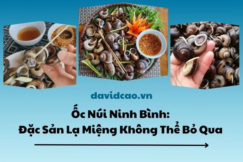 Ốc Núi Ninh Bình: Đặc Sản Lạ Miệng Không Thể Bỏ Qua 2025