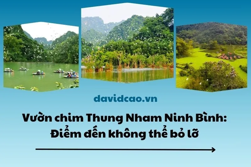 Vườn chim Thung Nham Ninh Bình: Điểm đến không thể bỏ lỡ 2025